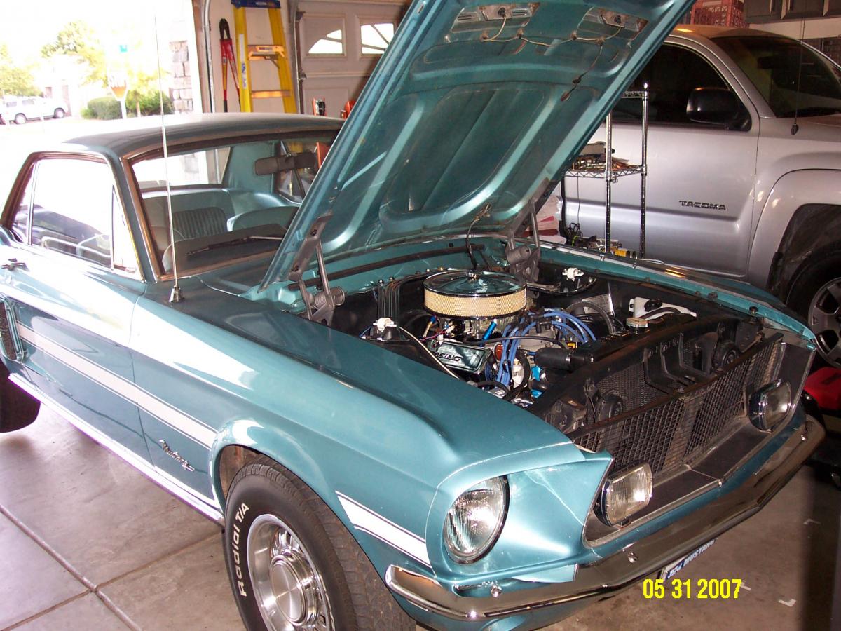 Mustang May 005.jpg