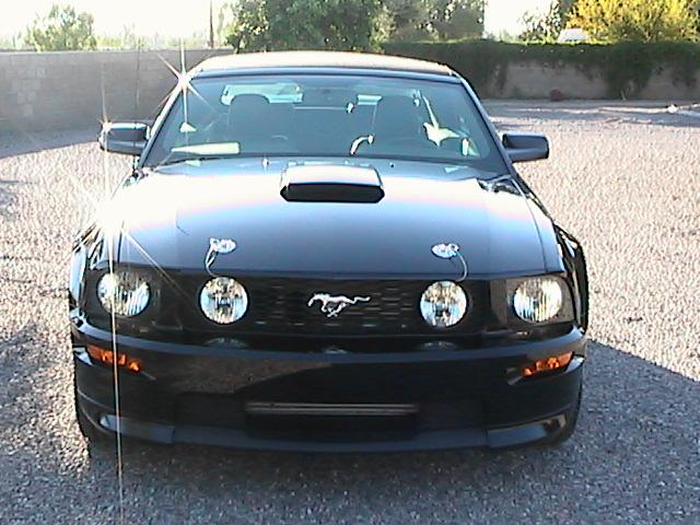 Mustang pics 011.jpg