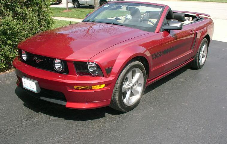 mustang1.jpg