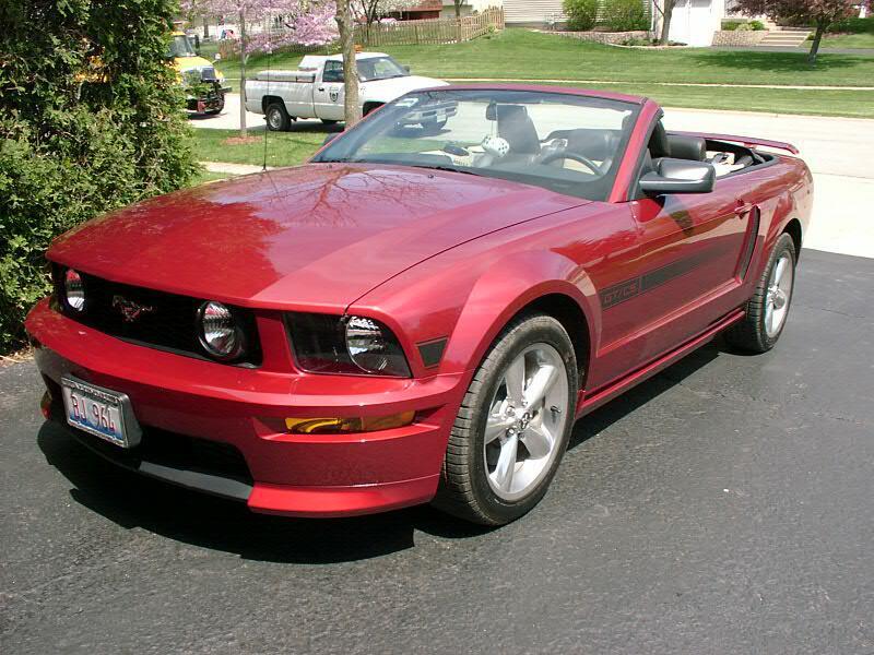 mustang3.jpg